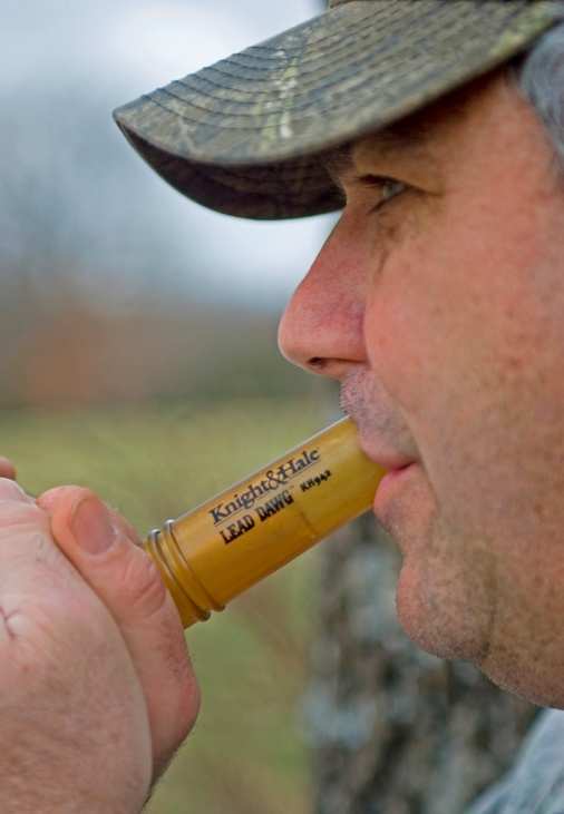 coyote call sounds for hunting
