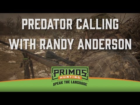 Predator Calling With Randy Anderson-Coyote, Fox, Bobcat Hunts-Primos Truth About Hunting Season 17