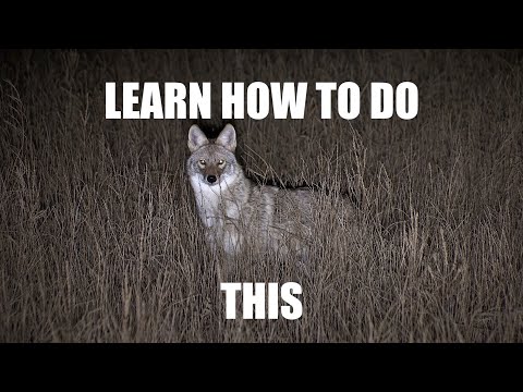Night Crew S4E2 &quot;NIGHT HUNTING 101&quot;...the most informative night hunting video EVER made!