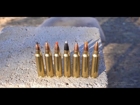 Whats The Best .223 Varmint Bullet?