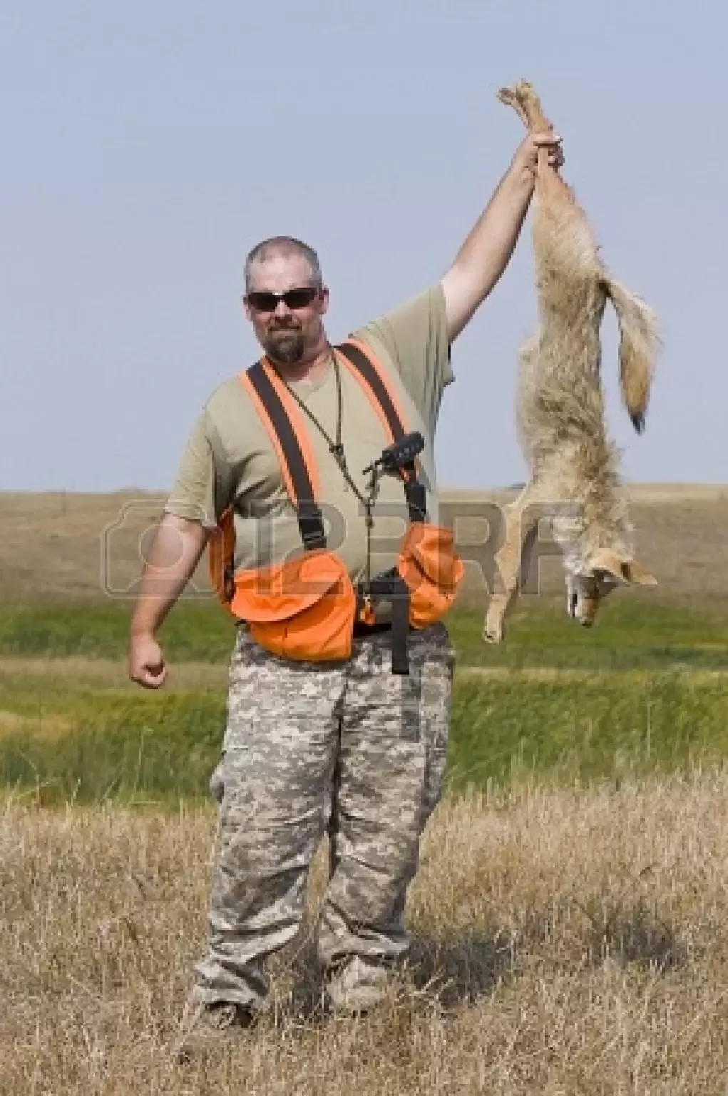 Coyote Hunting Pointers and Information Coyote Hunting