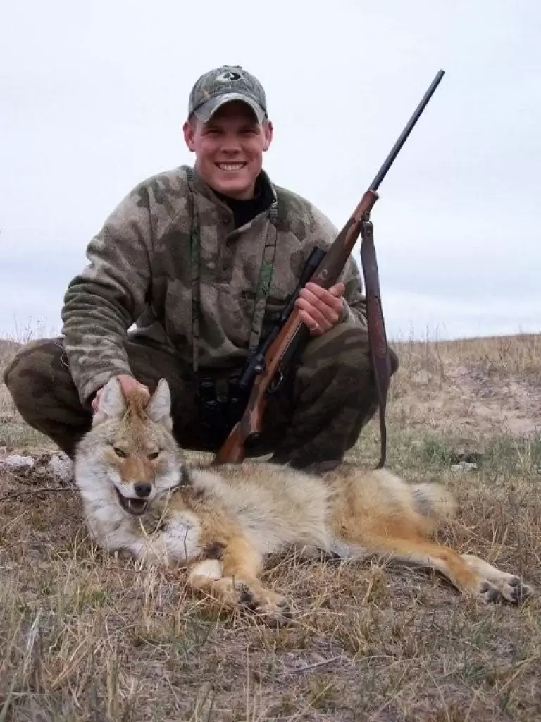 Tips for Successful Hunting Coyotes