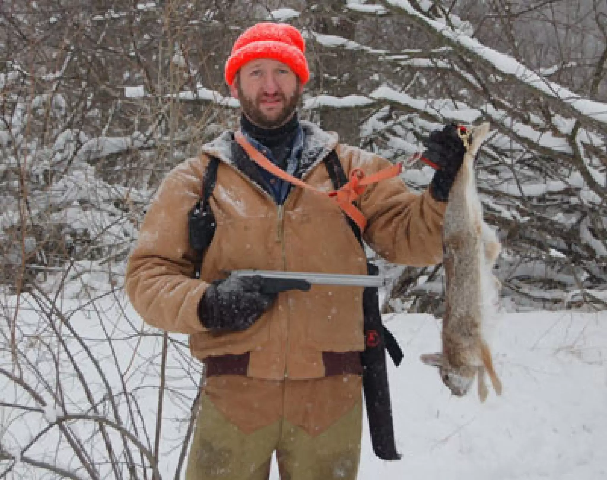 Less Cruel Way of Coyote and Rabbit Hunting Coyote Hunting