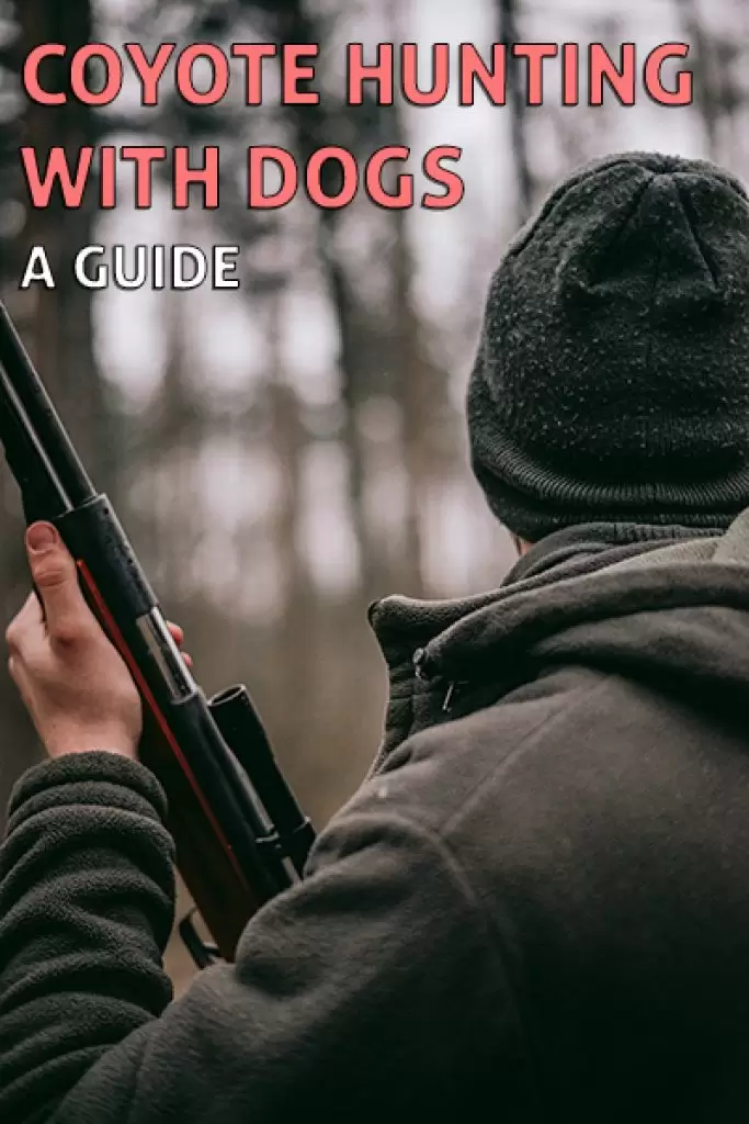 Coyote Hunting with Dogs - 5 Step Failproof Guide