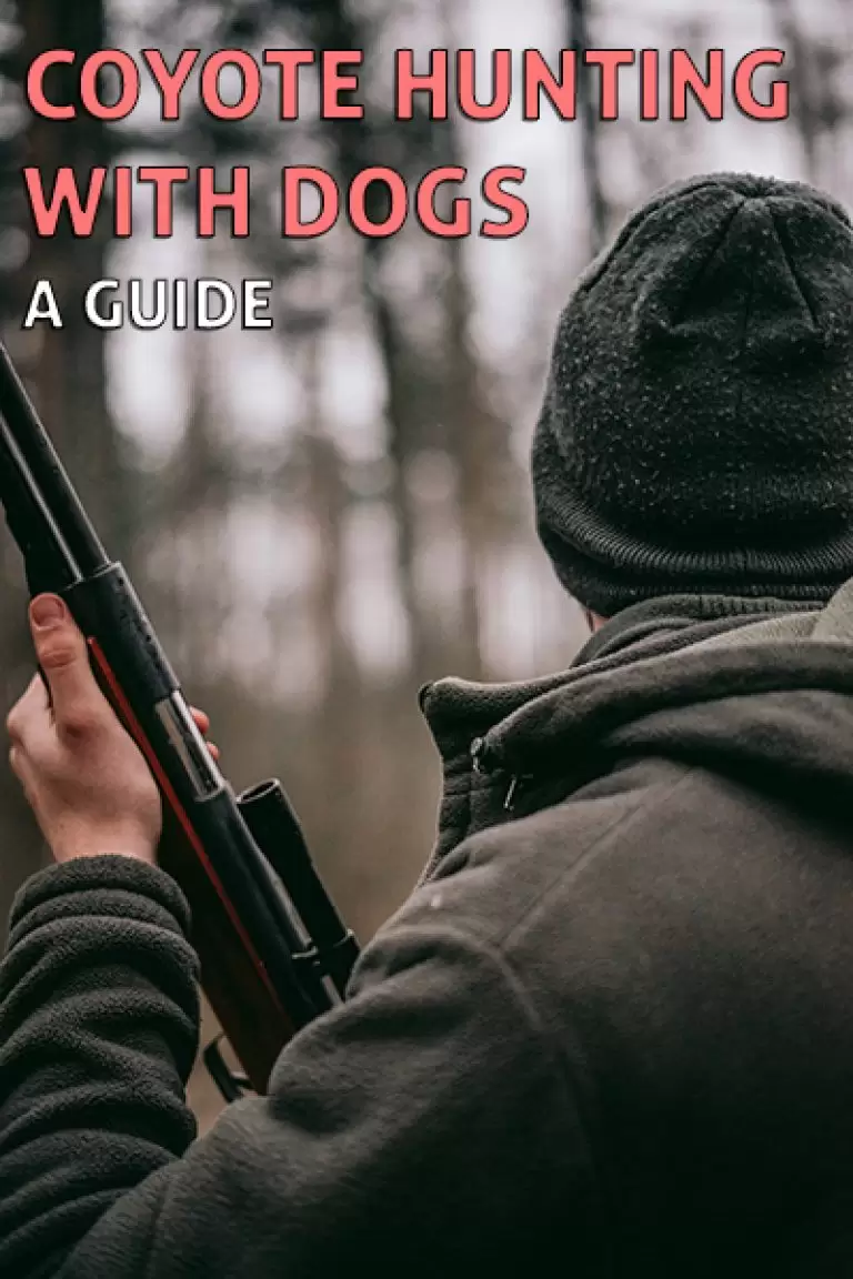 Coyote Hunting with Dogs 5 Step Failproof Guide Coyote Hunting