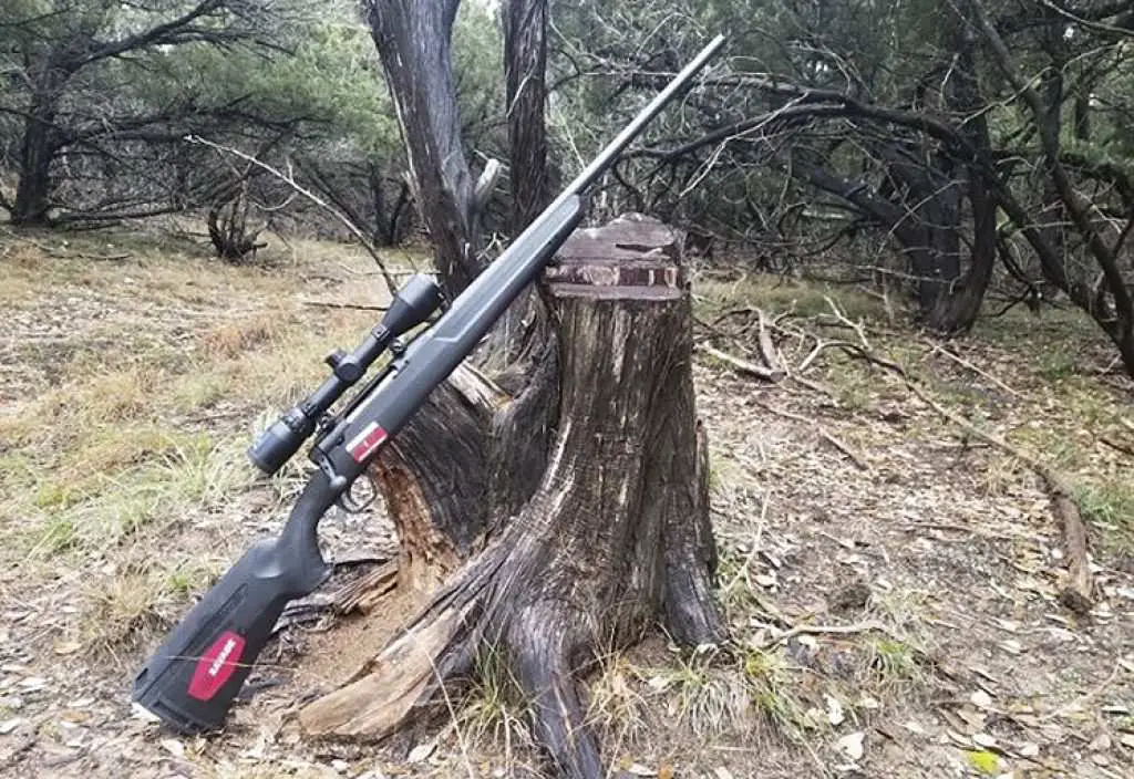 Best Gun for Coyote Hunting - Ultimate 2020 Guide