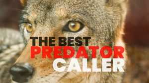 The Best Predator Caller for Actually Getting Results.