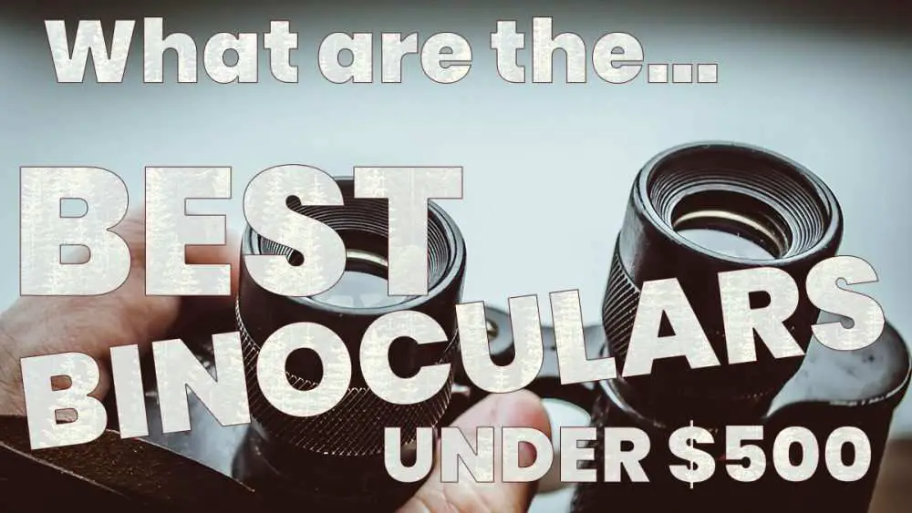 The Best Binoculars Under $500!