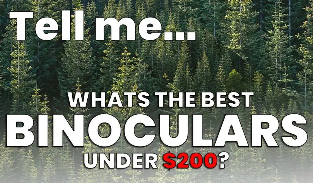 The Best Binoculars Under $200