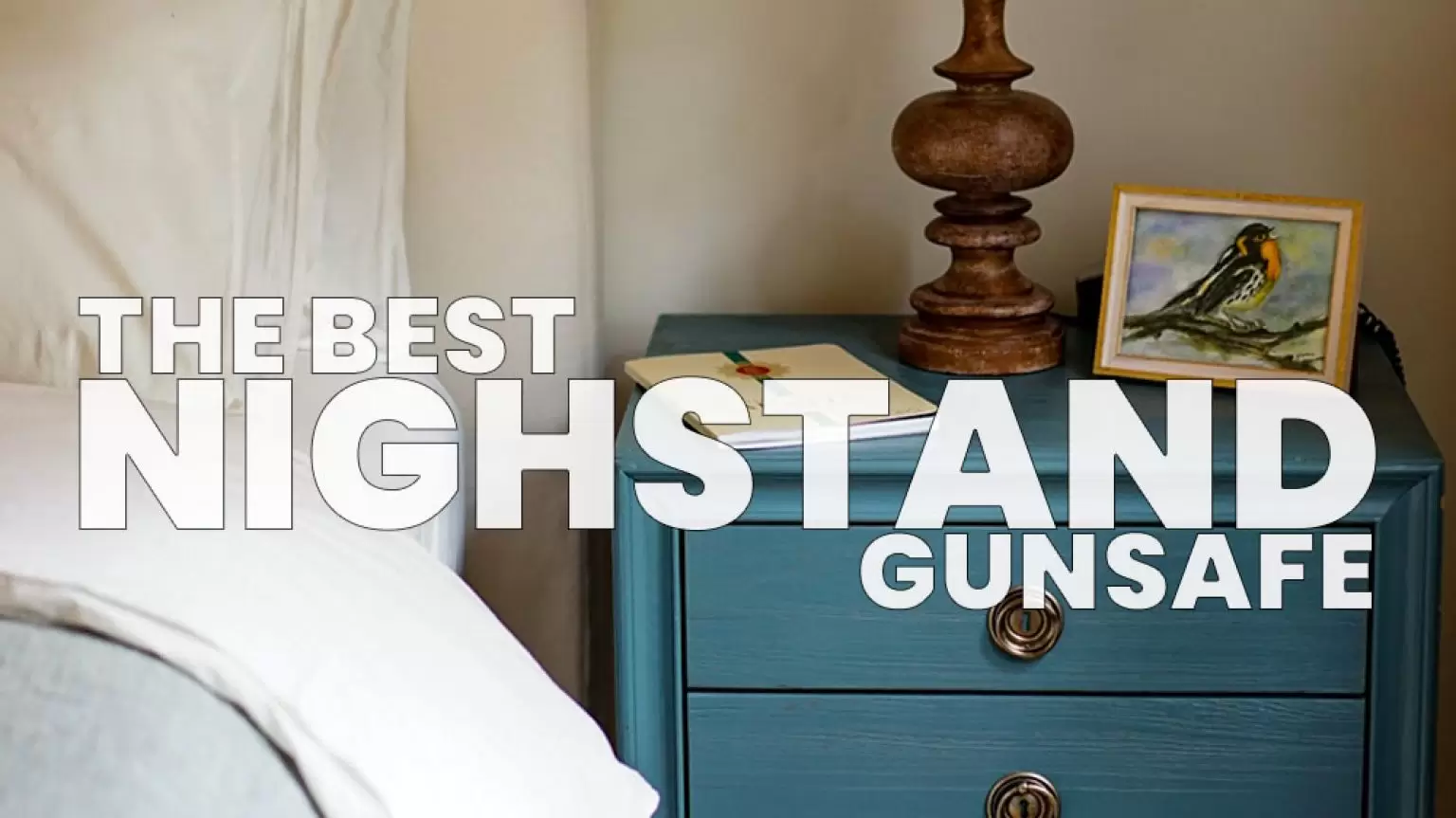 The Best Nightstand Gun Safe Ultimate 5 Coyote Hunting