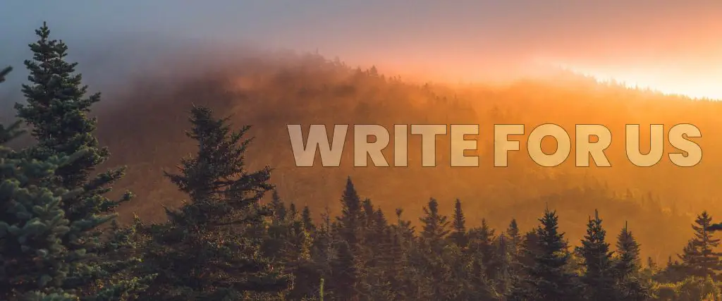 Write For Us!