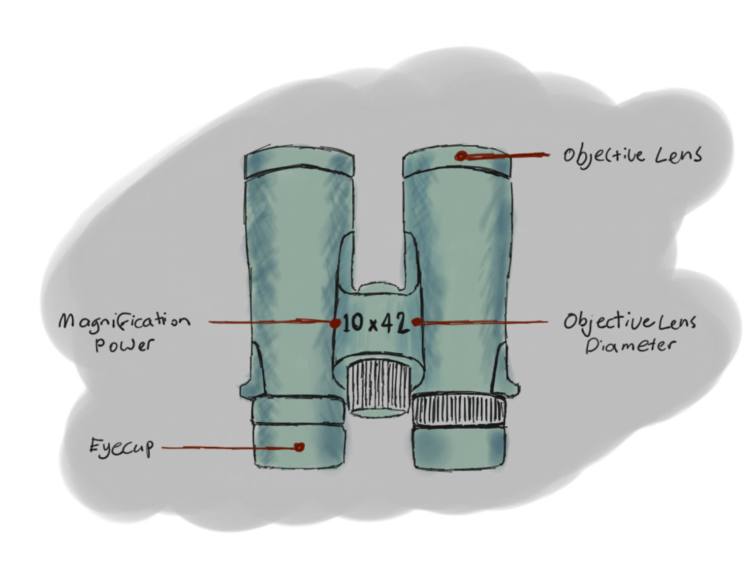 The 3 Best Binoculars Under 200 Biggest Bang for Buck. Coyote Hunting