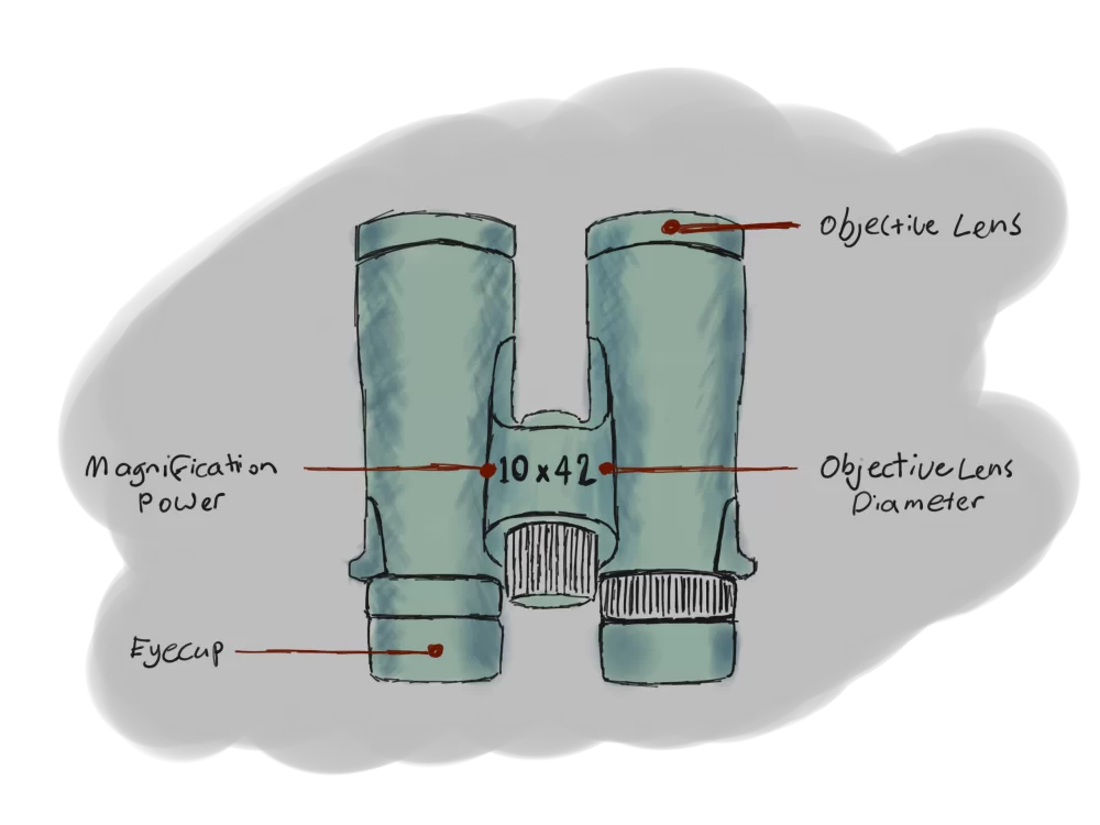 bestbinocularsunder200Diagram Coyote Hunting