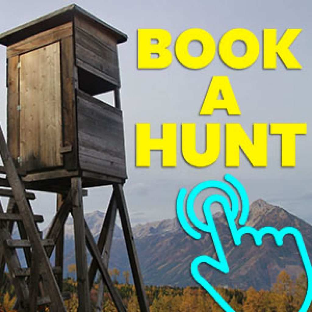 Book Your Next Coyote Hunt!