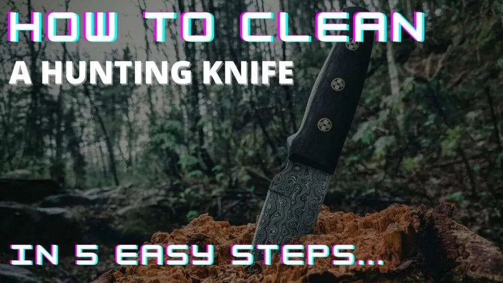 How to clean a hunting knife - in 5 easy steps