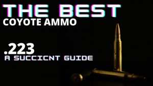 The Best Coyote Ammo 223