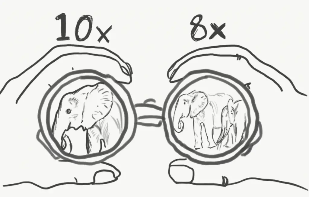 8x vs 10x Binoculars