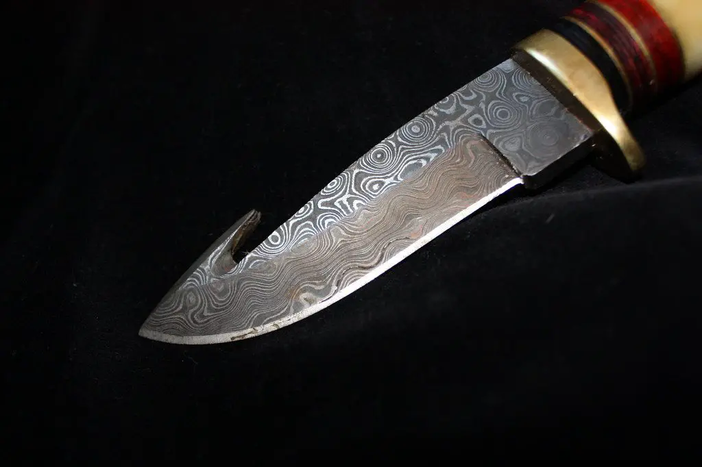 How to use a gut hook knife on a deer - A gut hook knife.