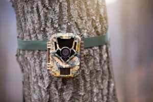 Trail camera for wildlife monitoring attached to a tree with green strap